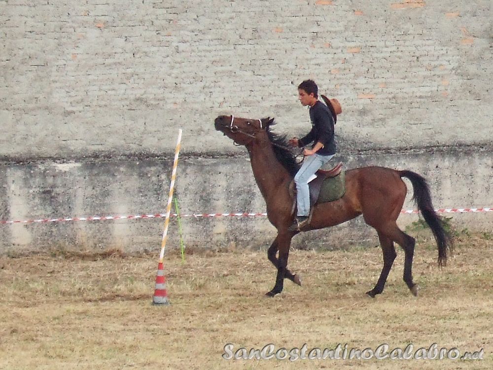 Equiraduno_015.jpg
