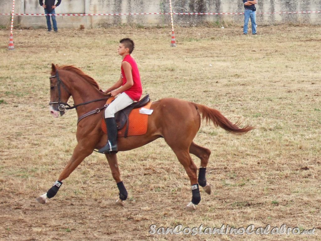 Equiraduno_019.jpg