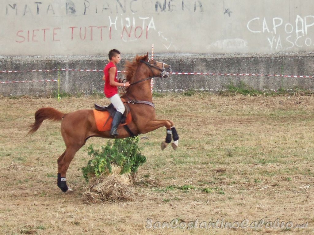 Equiraduno_020.jpg