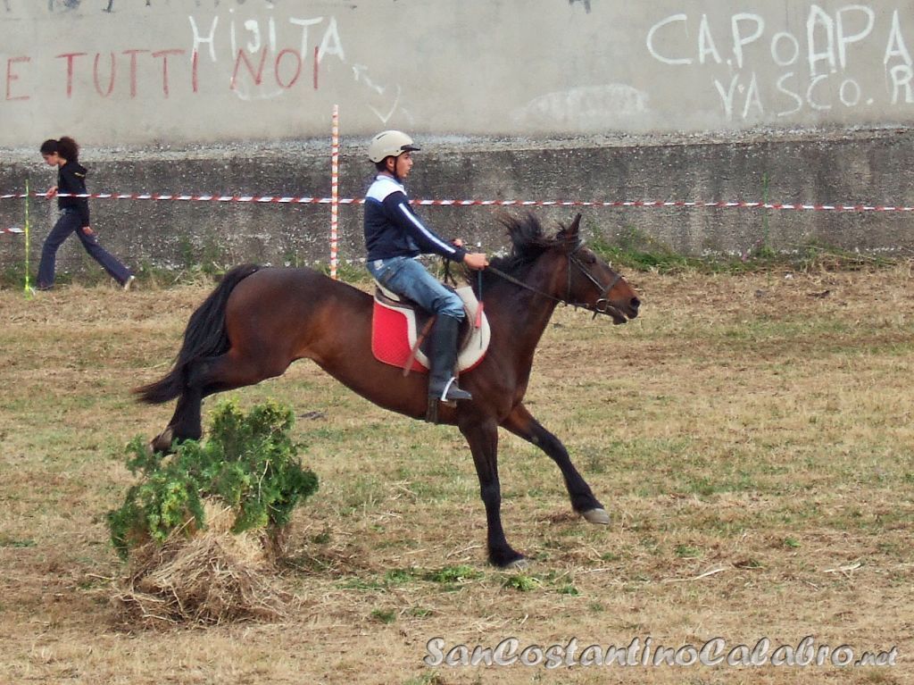 Equiraduno_021.jpg