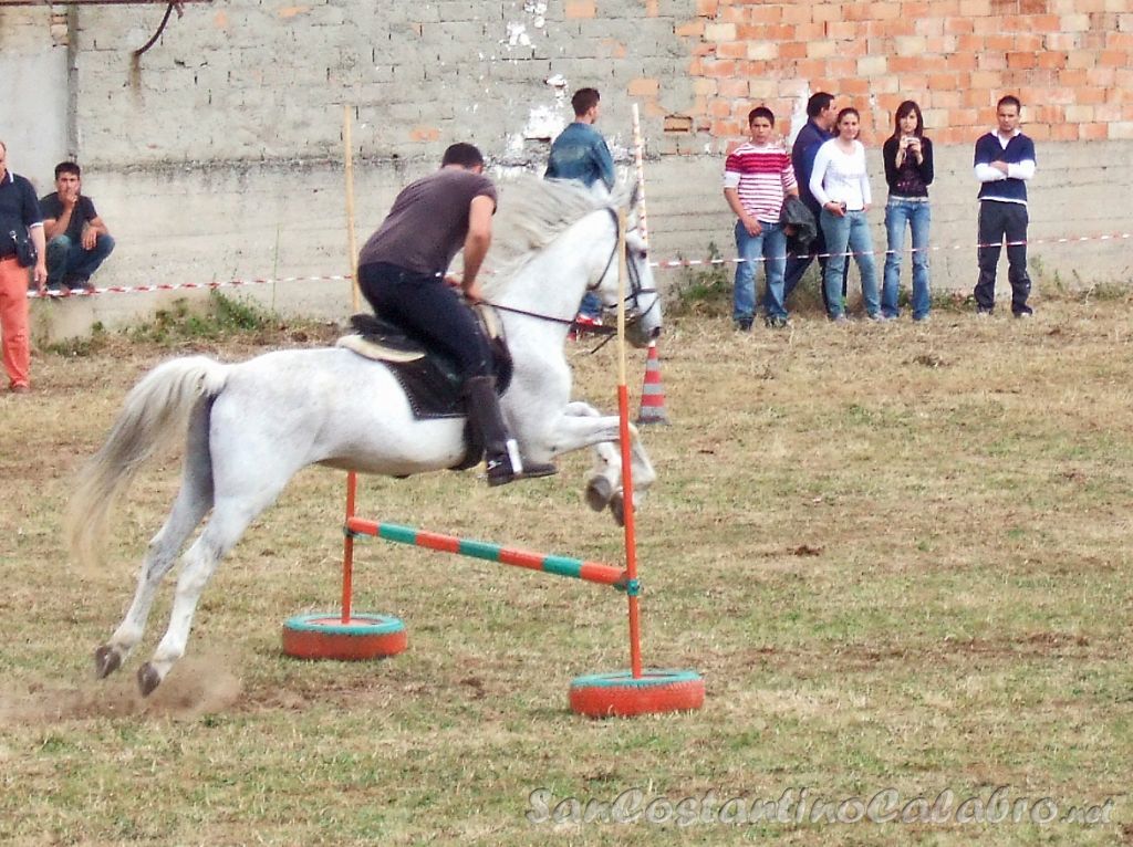 Equiraduno_022.jpg