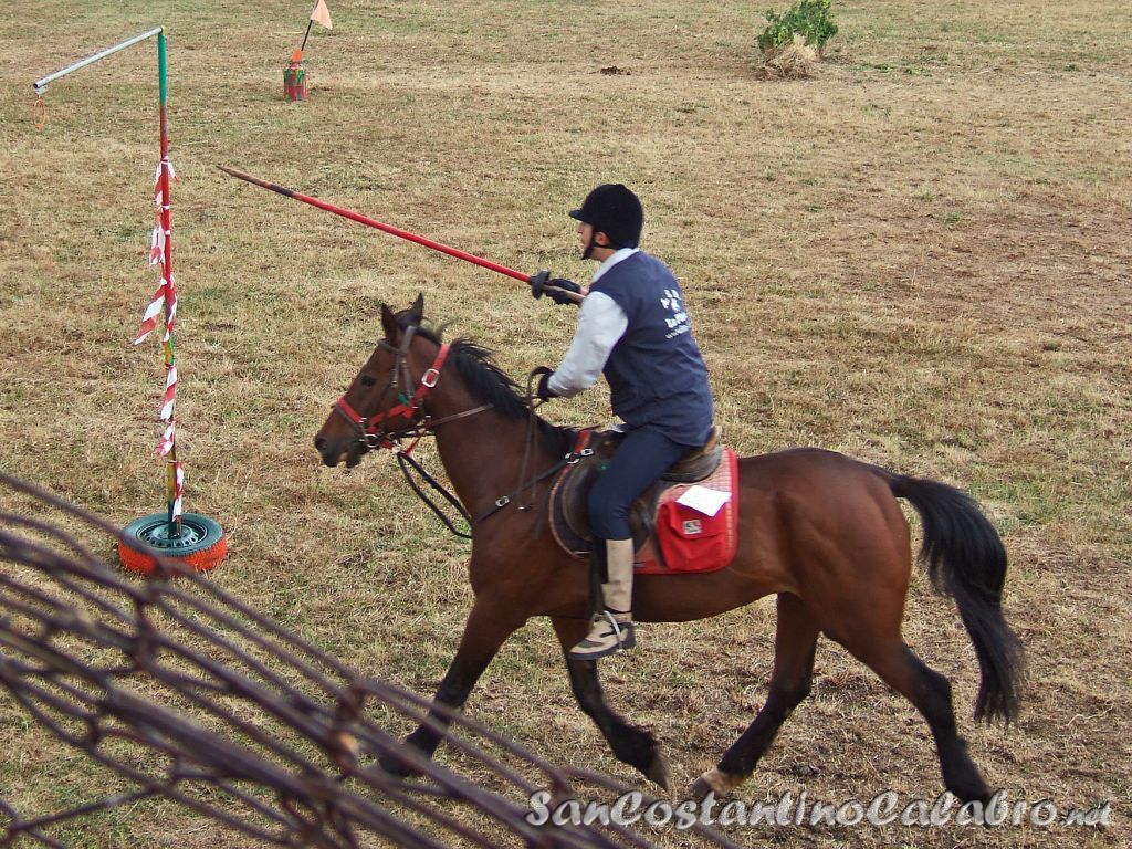 Equiraduno_024.jpg