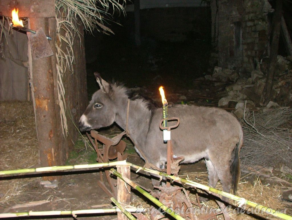 Presepe_Vivente_08_036.jpg
