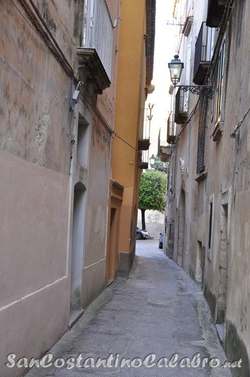 DSC_0774.jpg