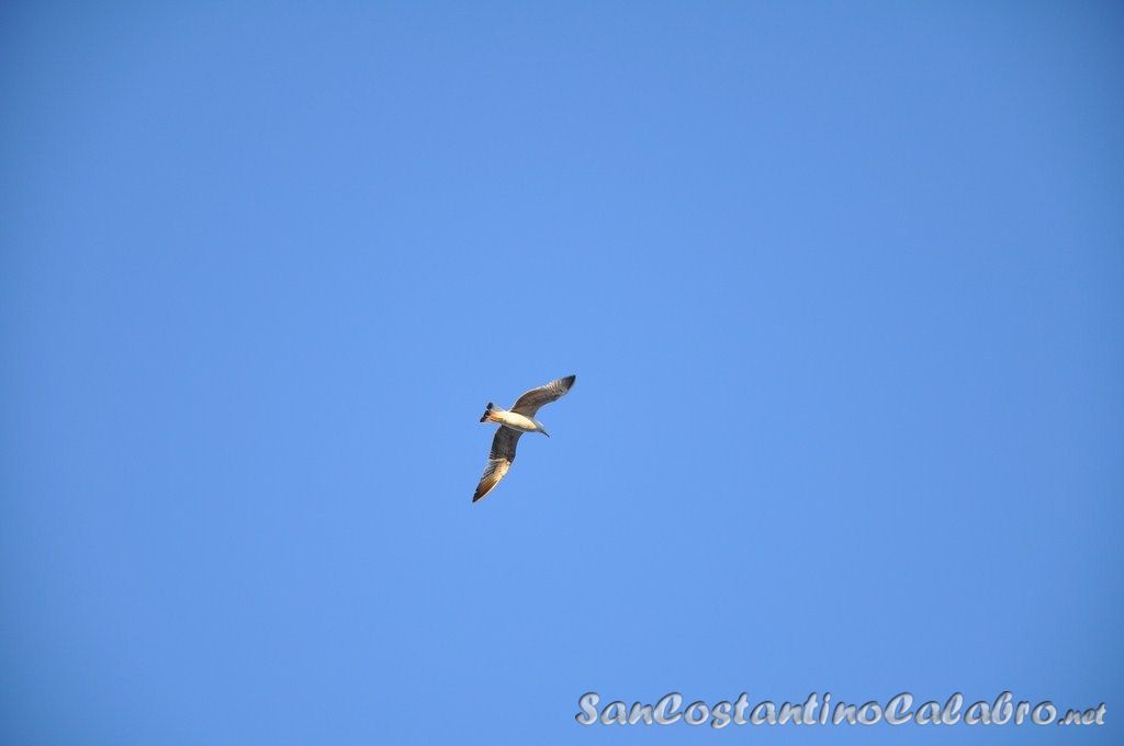 DSC_0779.jpg