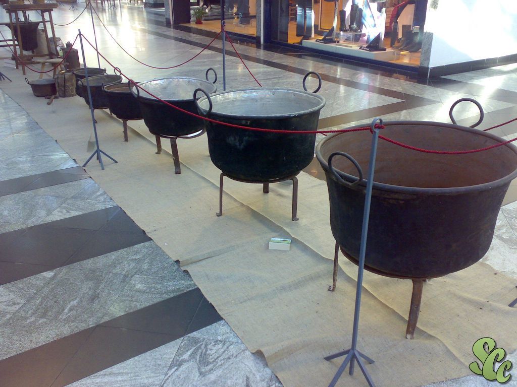 24022008289.jpg