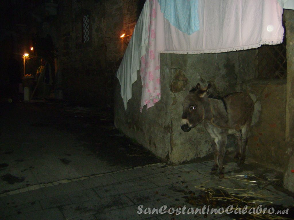 presepe04-01-09_02.jpg