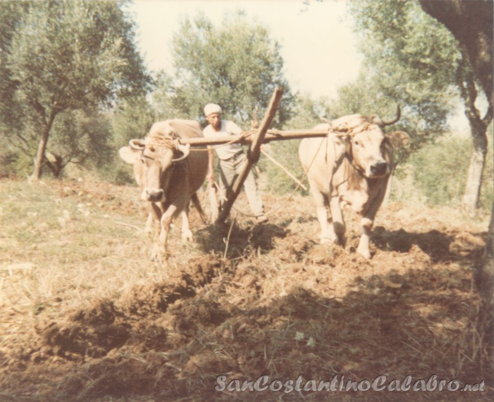 Immagine4.jpg