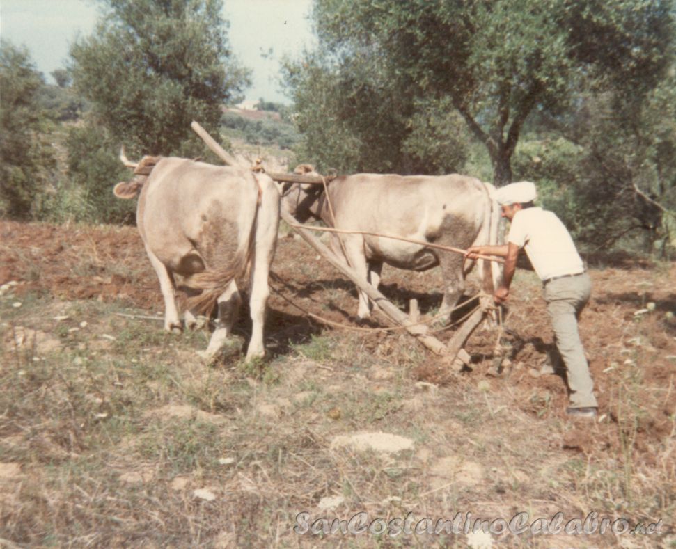 Immagine6.jpg