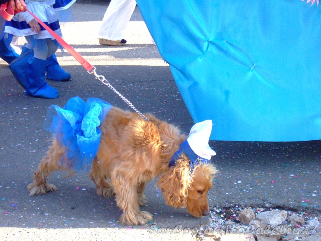 Carnevale2009_038.jpg