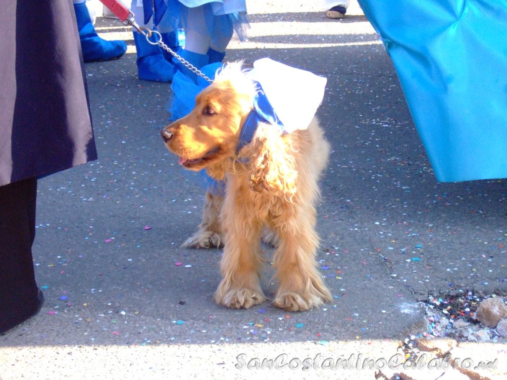 Carnevale2009_039.jpg
