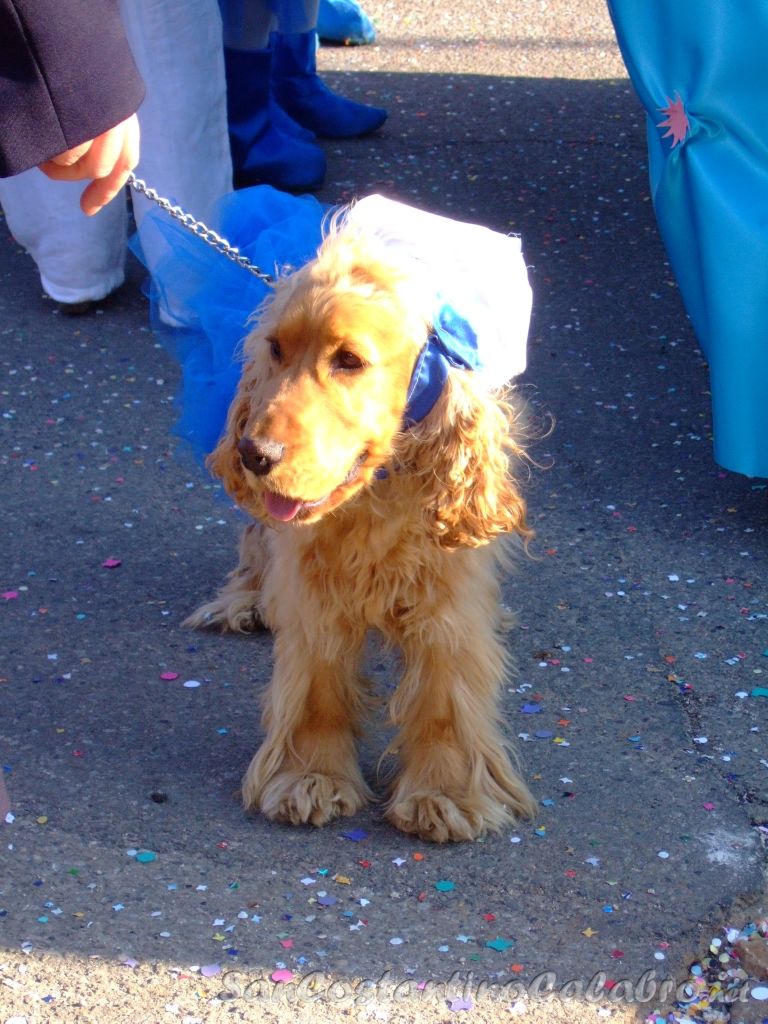Carnevale2009_040.jpg