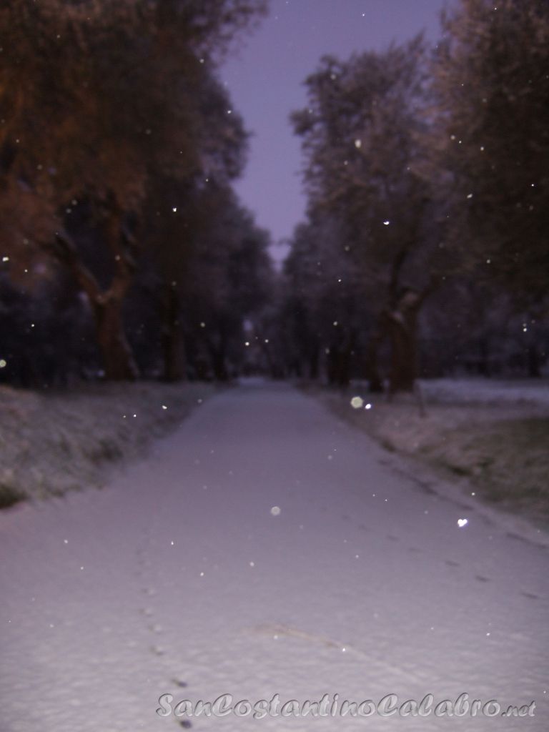 LaNeveSCC_093.jpg