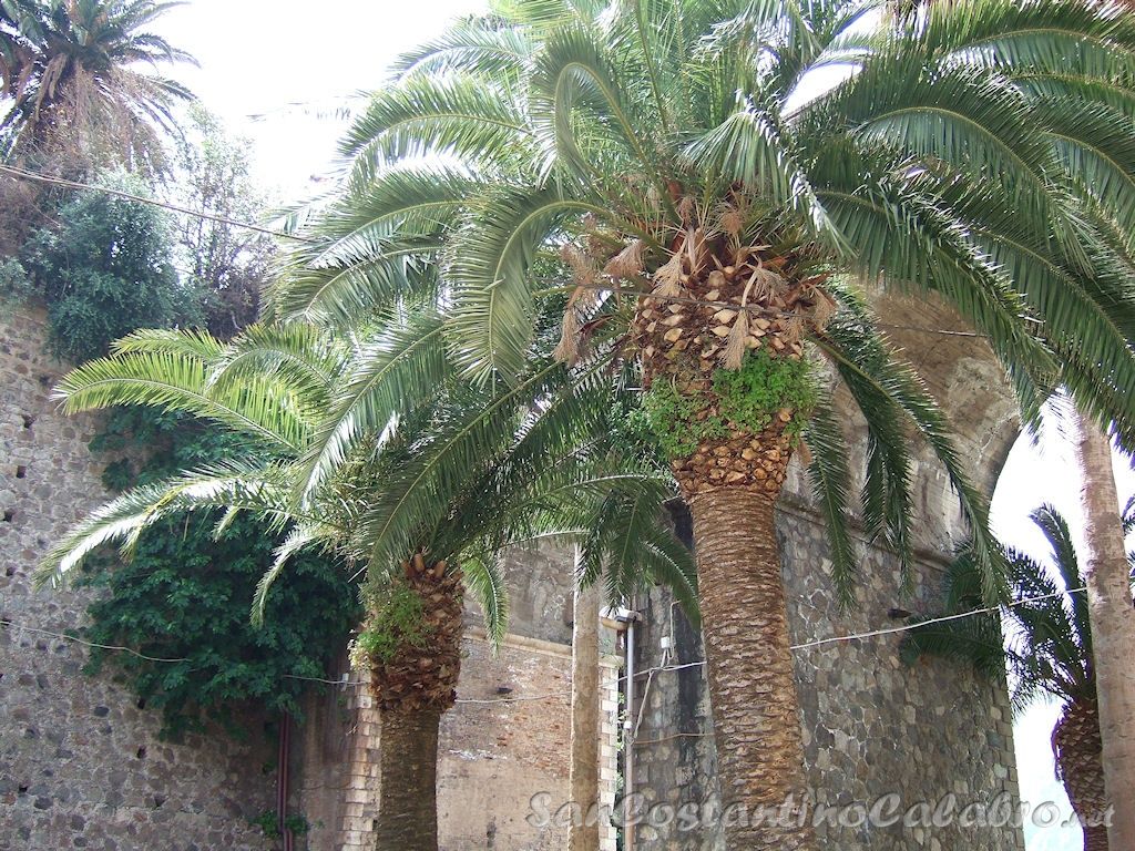 VersoReggio_006.jpg