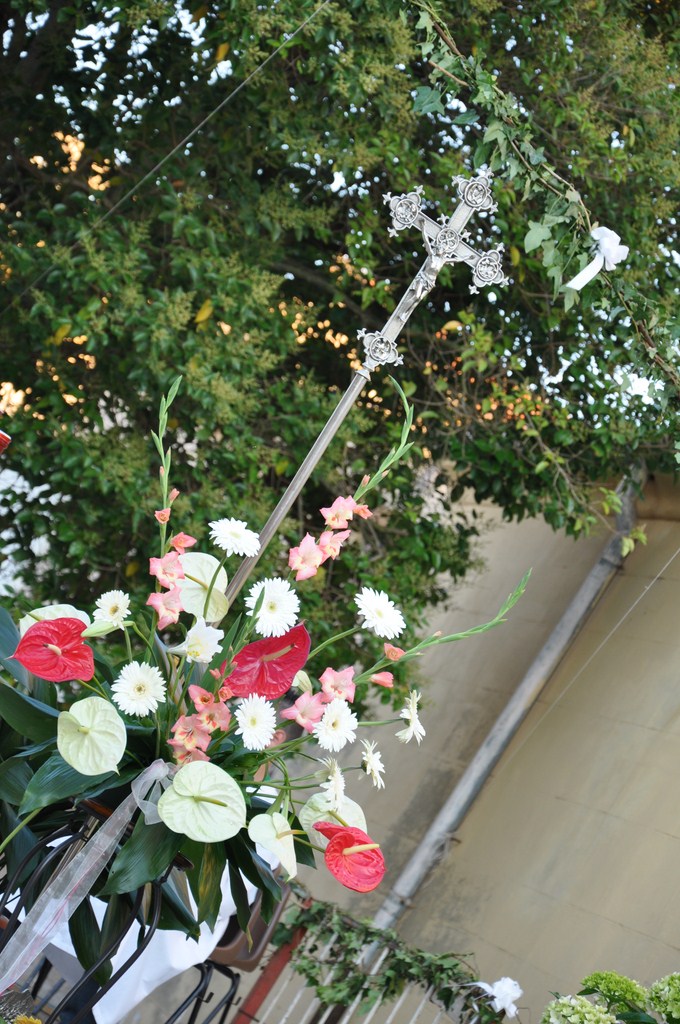 DSC_0371~0.JPG