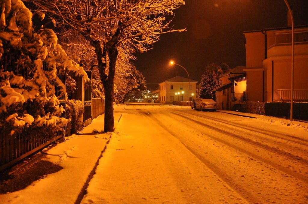 DSC_0874.JPG