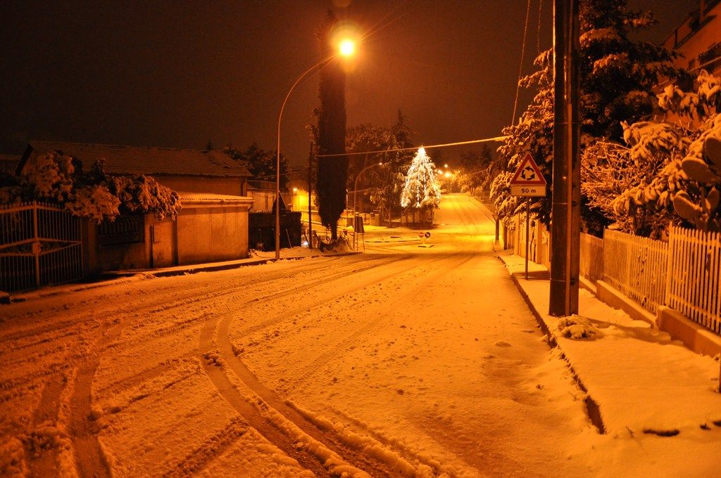 DSC_0875.JPG