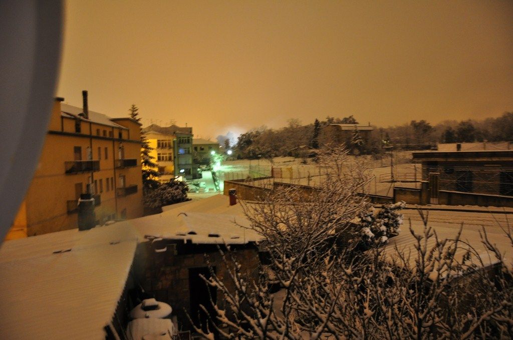 DSC_0899.JPG