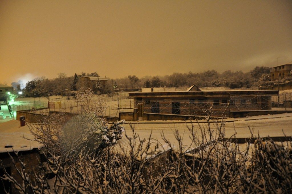 DSC_0900.JPG