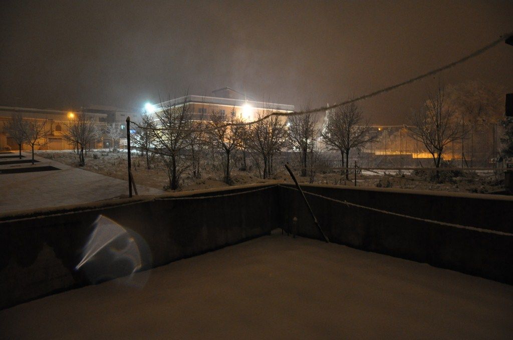 DSC_0917.JPG