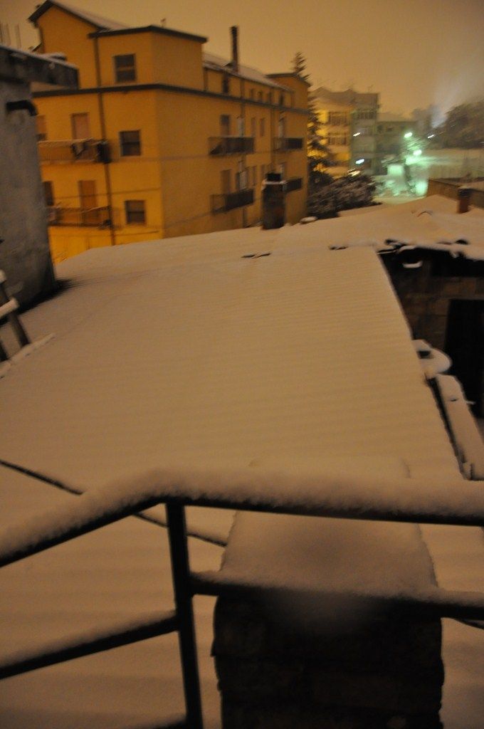 DSC_0919.JPG
