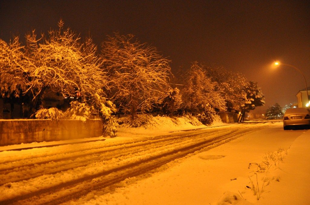 DSC_0945.JPG