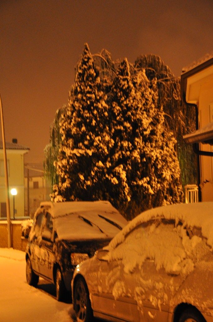 DSC_0948.JPG