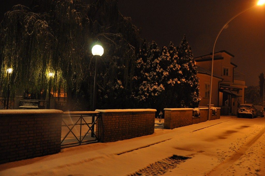 DSC_0954.JPG