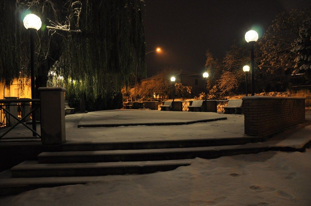DSC_0959.JPG