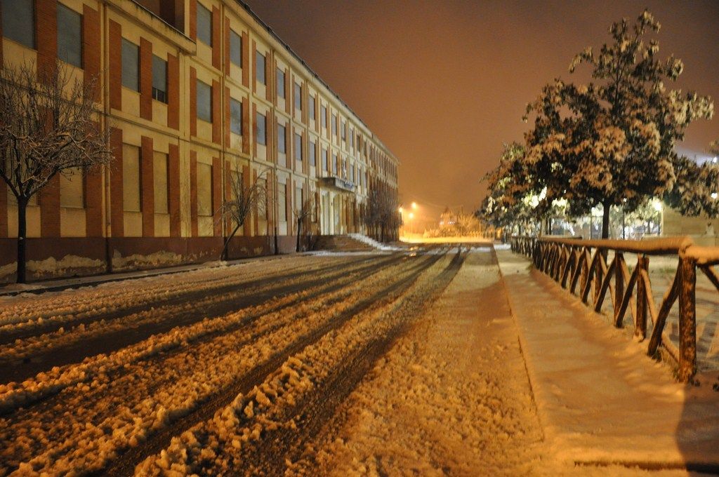 DSC_0964.JPG