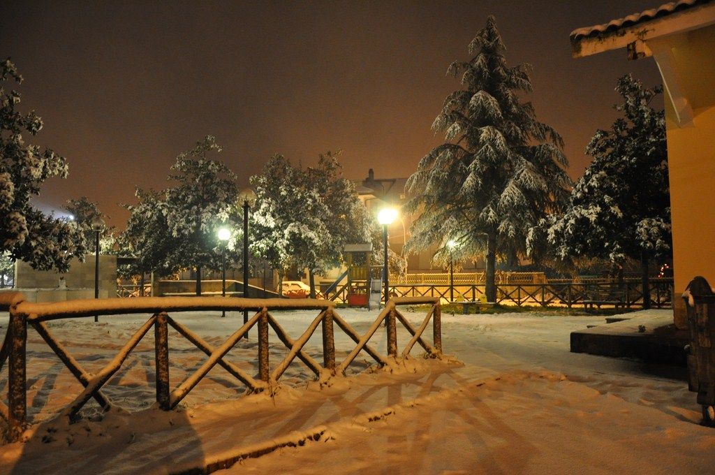 DSC_0966.JPG