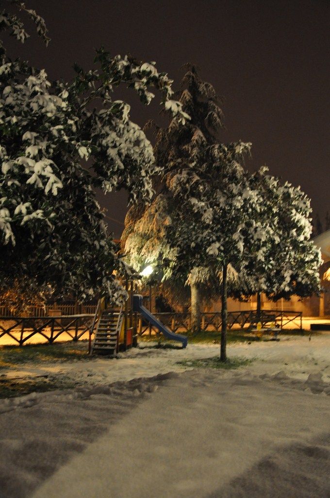 DSC_0974.JPG