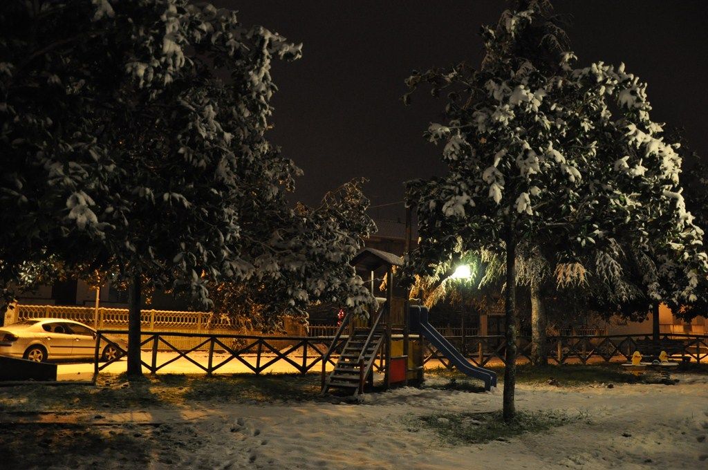 DSC_0976.JPG