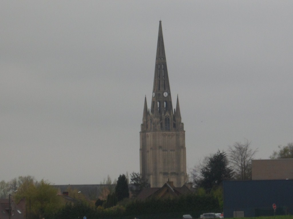 SAM_0648.JPG